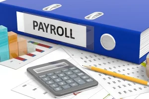 Payroll clerk job openings